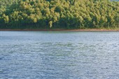 2009-07 Сумган 365